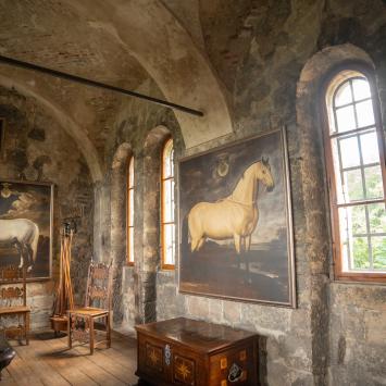 Zamek Valdštejn