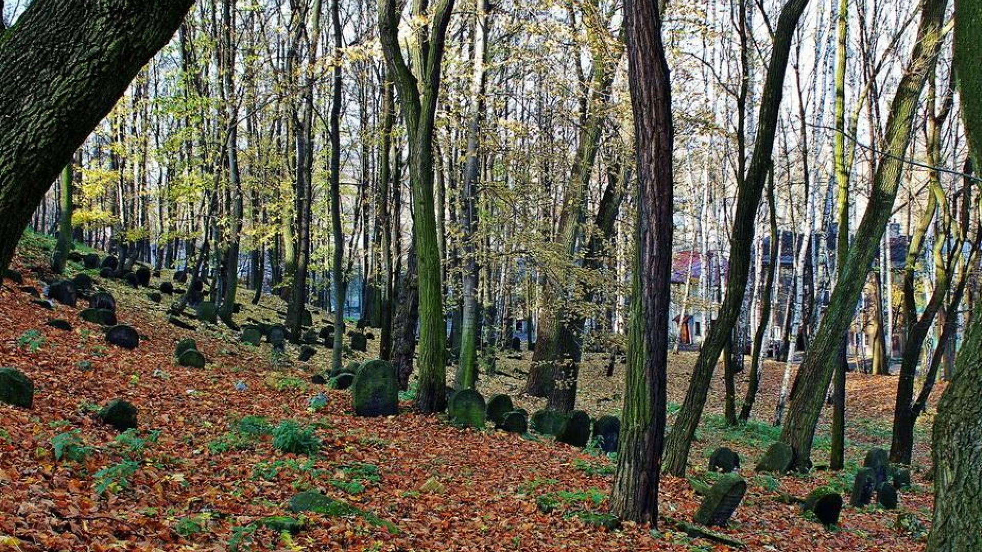 Kirkut W B Dzinie Atrakcja B Dzina Polskieszlaki Pl