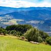 Beskid Sądecki