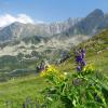 Tatry