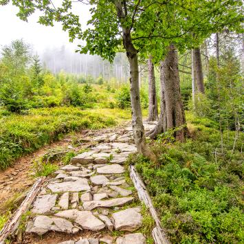 Beskid Żywiecki Babia Góra