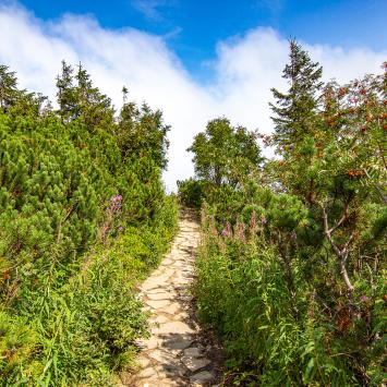 Beskid Żywiecki Babia Góra