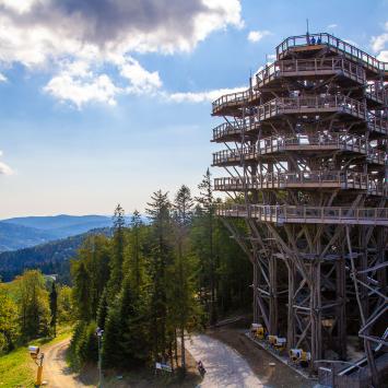 Beskid Sądecki Wieża w Krynicy