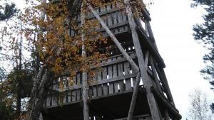 Wieża widokowa na Torfowisku pod Zieleńcem - zdjęcie