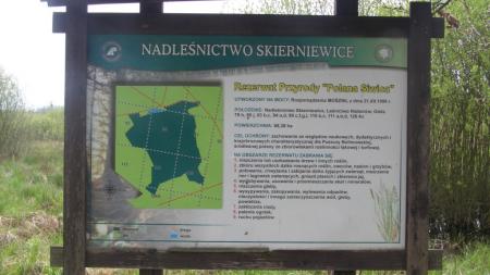 Rezerwat Polana Siwica w Puszczy Bolimowskiej - zdjęcie