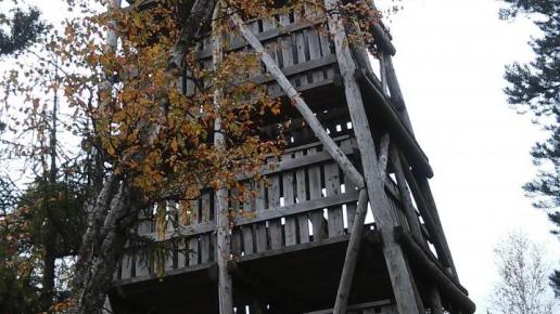 Wieża widokowa na Torfowisku pod Zieleńcem , mokunka
