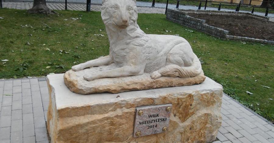 Pomnik wilka w Międzylesiu - zdjęcie