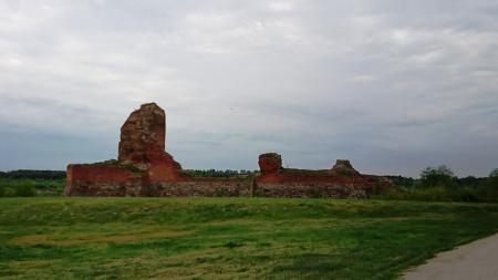 Ruiny zamku w Bobrownikach - zdjęcie