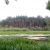 Wronia Woda w Załęczańskim Parku Krajobrazowym