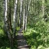 Ścieżka przyrodnicza Spławy w Poleskim Parku Narodowym