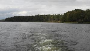 Jezioro Rospuda w Augustowie - zdjęcie