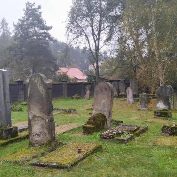 Cmentarz żydowski w Niepołomicach