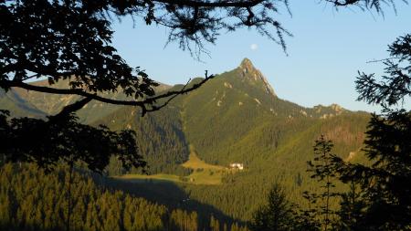 Boczań w Tatrach - zdjęcie