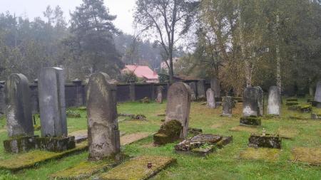 Cmentarz żydowski w Niepołomicach - zdjęcie