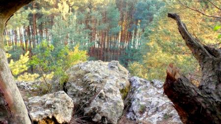 Góra Św. Genowefy w Załęczańskim Parku Krajobrazowym - zdjęcie