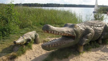 Krokodyl w Okunince - zdjęcie