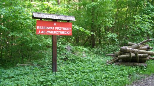 Rezerwat Las Zwierzyniecki w Białymstoku, Joanna