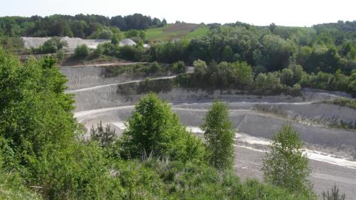 Odkrywkowa kopalnia kredy w Mielniku, Joanna