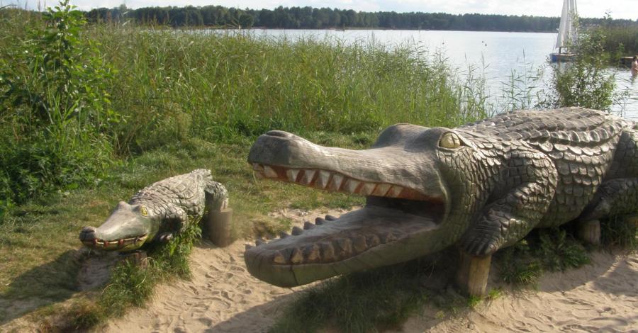 Krokodyl w Okunince - zdjęcie