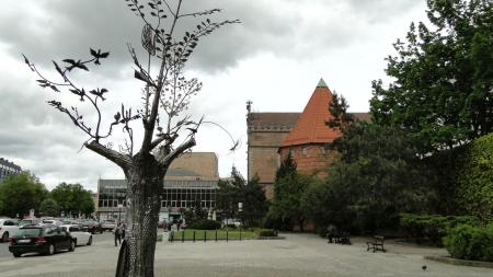 Drzewo Millenium Gdańska - zdjęcie