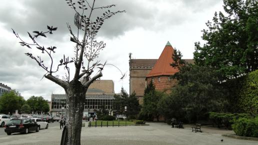 Drzewo Millenium Gdańska, toja1358