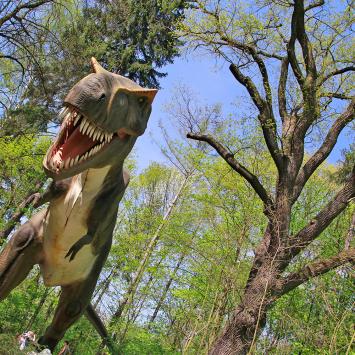 Park Ruchomych Dinozaurów w Zatorlandzie