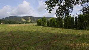 Bike Park Kasina w Kasinie Wielkiej - zdjęcie