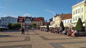 Rynek w Rybniku - zdjęcie