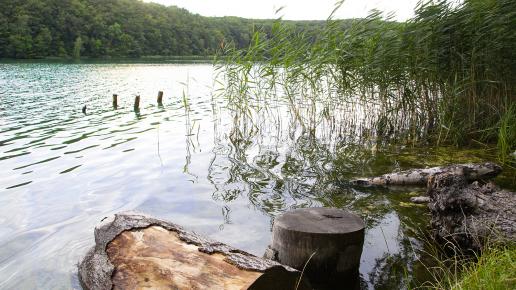 Łagowski Park Krajobrazowy Jezioro Trześniowskie