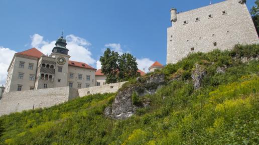  Zamek Pieskowa Skała
