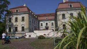 Pałac w Sośnicowicach - zdjęcie