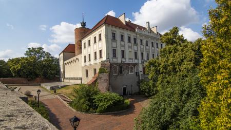 Zamek w Głogowie - zdjęcie