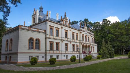 Pałac w Przytoku - zdjęcie