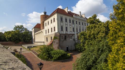 Zamek w Głogowie
