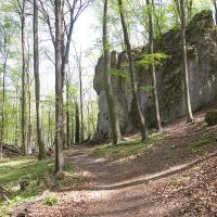Rezerwat Ostrężnik