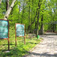 Arboretum Bramy Morawskiej