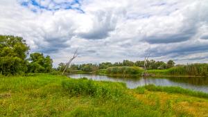 Park Narodowy Ujście Warty - zdjęcie