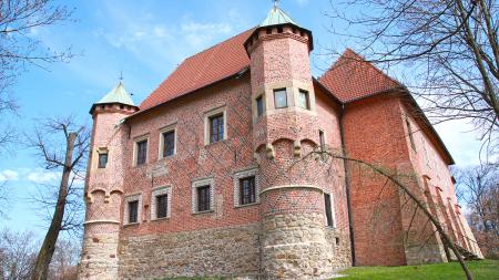 Zamek w Dębnie - zdjęcie