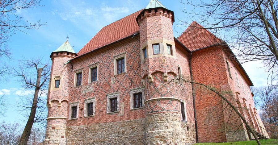 Zamek w Dębnie - zdjęcie
