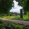 Ogród Botaniczny na Ostrowie Tumskim