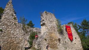 Zamek w Bydlinie - zdjęcie