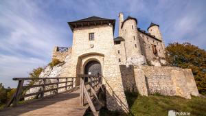 Zamek Bobolice - zdjęcie