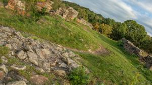 Ruiny zamku w Tarnowie - zdjęcie