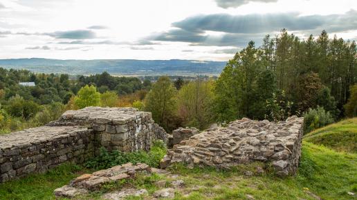 Ruiny zamku w Tarnowie