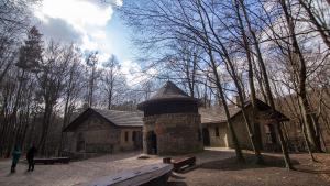 Park Repecki w Tarnowskich Górach - zdjęcie