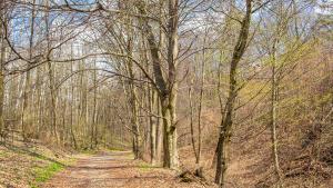 Park Krajobrazowy Góra Św. Anny - zdjęcie