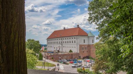 Zamek w Sandomierzu - zdjęcie
