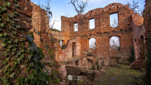 Ruiny pałacu w Łubowicach
