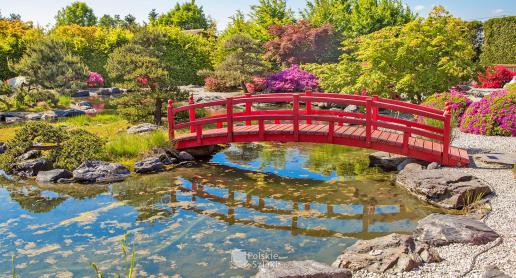 Zobacz piękny Ogród Japoński w Pisarzowicach! - zdjęcie