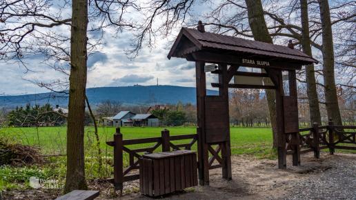 Świętokrzyski Park Narodowy - Chełmowa Góra